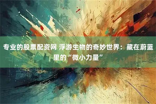 专业的股票配资网 浮游生物的奇妙世界：藏在蔚蓝里的“微小力量”